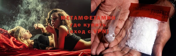 шишки Беломорск
