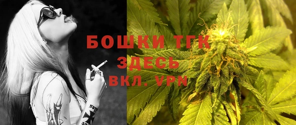 гашиш Богданович
