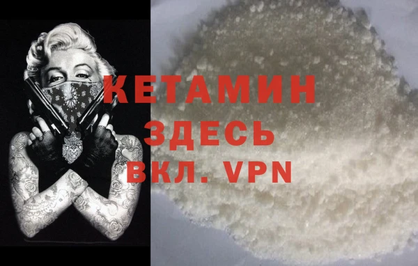 шишки Беломорск