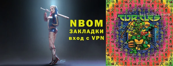 шишки Беломорск