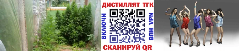ТГК гашишное масло  Краснозаводск 