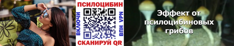 Галлюциногенные грибы прущие грибы  Краснозаводск 